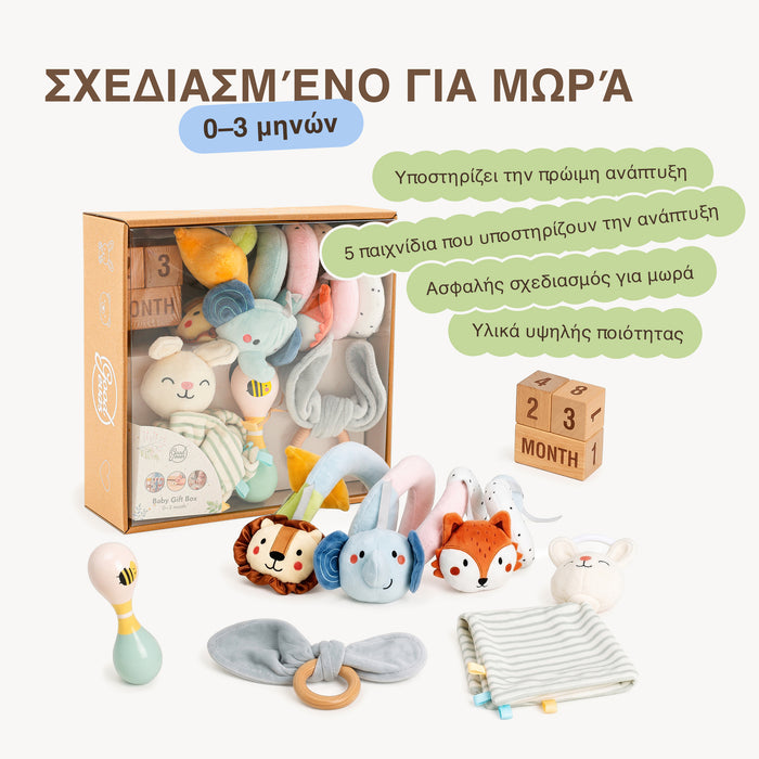 BabyBox — Σετ παιχνιδιών για τον πρώτο χρόνο (0–12 μηνών)