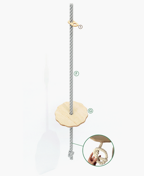 Γυμναστική Ζούγκλας